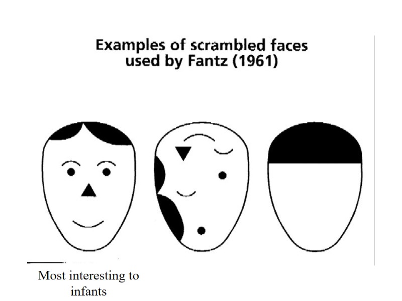 Most interesting to infants